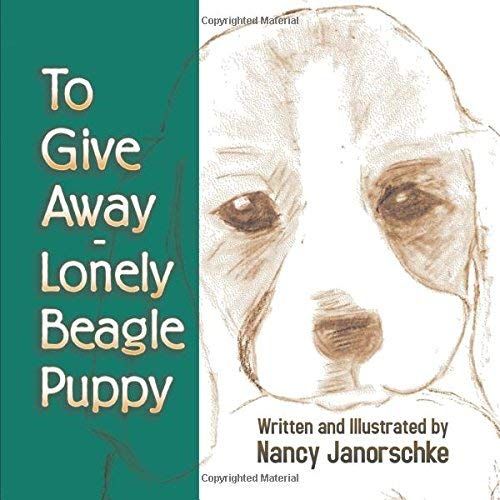 To Give Away - Lonely Beagle Puppy