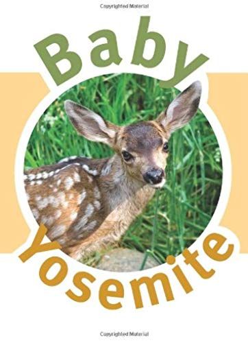 Baby Yosemite