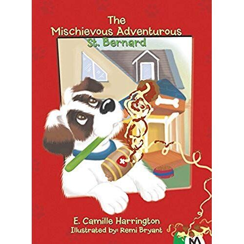 The Mischievous Adventurous St. Bernard