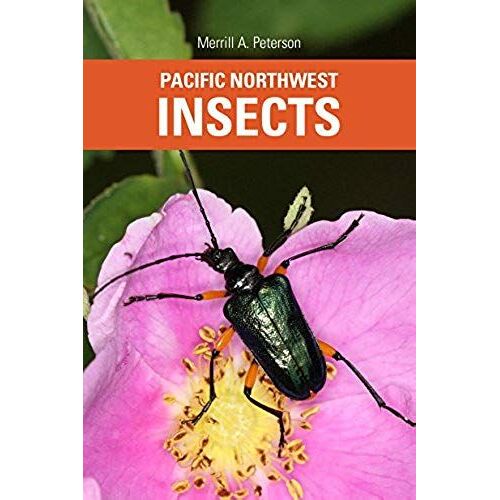 Pacific Northwest Insects