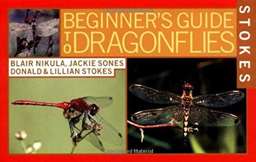 Stokes Beginner's Guide To Dragonflies