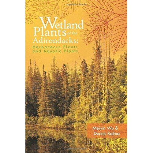 Wetland Plants Of The Adirondacks