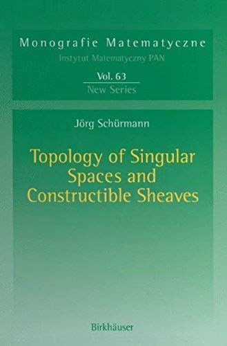 Topology Of Singular Spaces And Constructible Sheaves