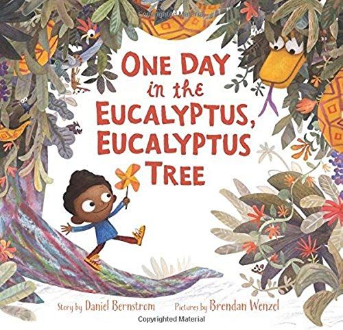 One Day In The Eucalyptus, Eucalyptus Tree