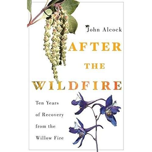 After The Wildfire