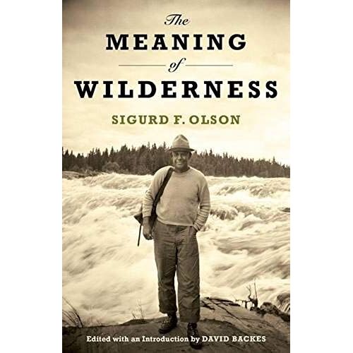 The Meaning Of Wilderness