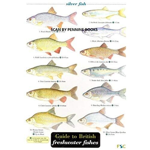 Guide To British Freshwater Fishes