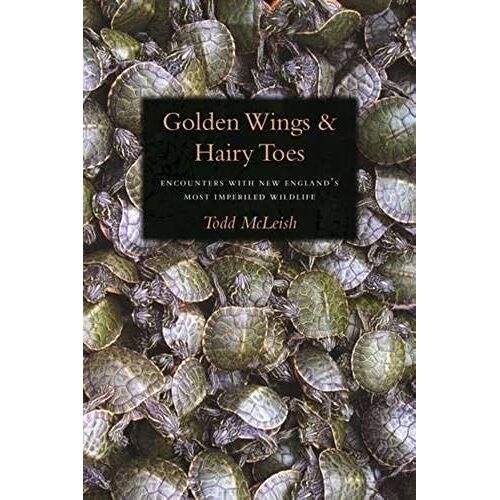 Golden Wings And Hairy Toes