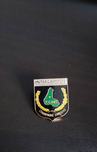 Pin's Intercampus Reims