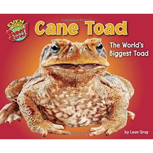 Cane Toad