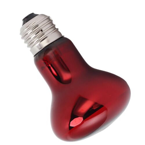 Ampoule de lampe chauffante pour reptile E27 UVA amphibie se prélassant jour et nuit Ampoule chauffante pour lézard dragon barbu 220 à 240V rouge 50W