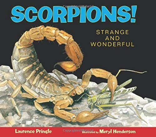 Scorpions!