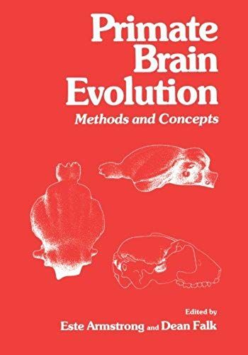 Primate Brain Evolution