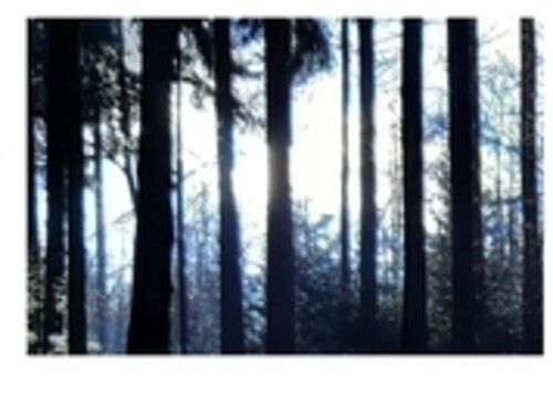 Anom Vitruv - 6.4311 [Compact Discs]