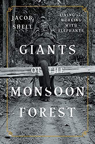 Giants Of The Monsoon Forest