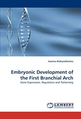 Embryonic Development Of The First Branchial Arch