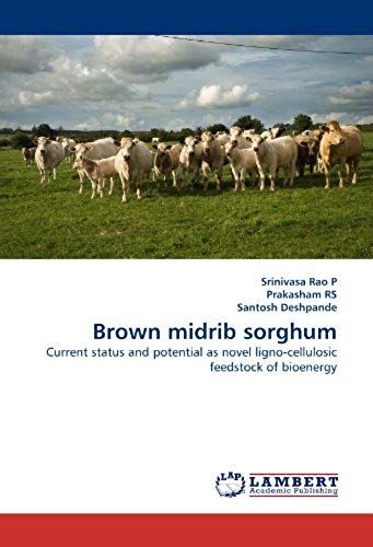 Brown Midrib Sorghum