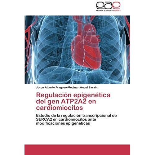 Regulación Epigenética Del Gen Atp2a2 En Cardiomiocitos