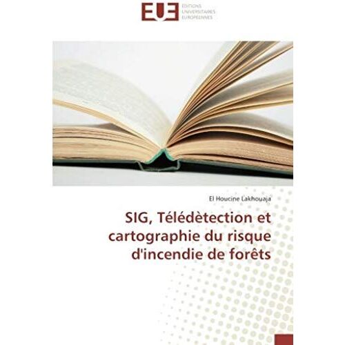 Sig, Télédètection Et Cartographie Du Risque D'incendie De Forêts