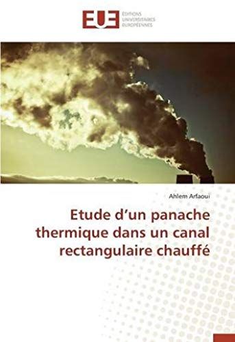 Etude D'un Panache Thermique Dans Un Canal Rectangulaire Chauffé