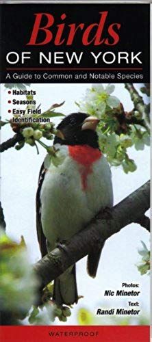 Birds Of New York: A Guide To Common & Notable Species