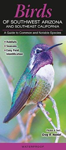 Birds Of Southwest Arizona And Southeast California: A Guide To Common & Notable Species