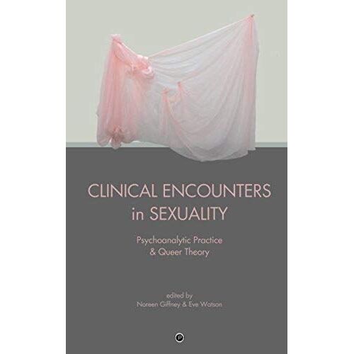 Clinical Encounters In Sexuality: Psychoanalytic Practice And Queer Theory