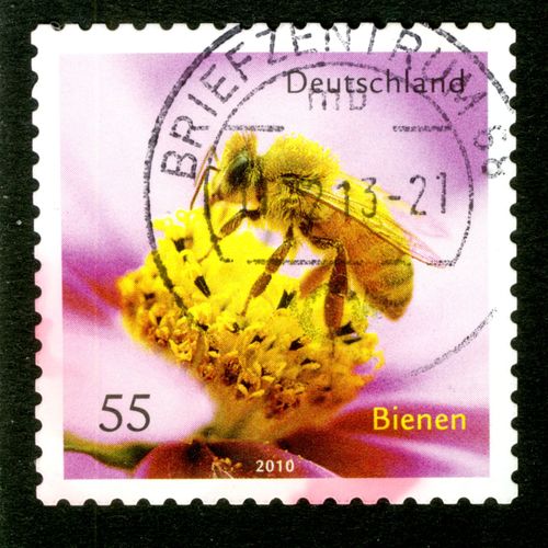 Timbre Oblitéré Deutschland, Bienen, 2010, 55