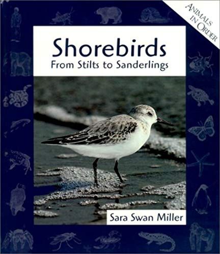 Shorebirds: From Stilts To Sanderlings (Animals In Order)