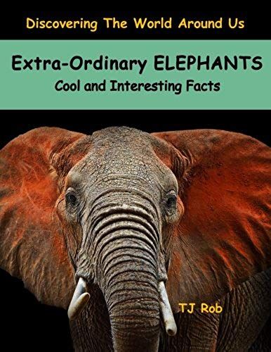 Extra-Ordinary Elephants