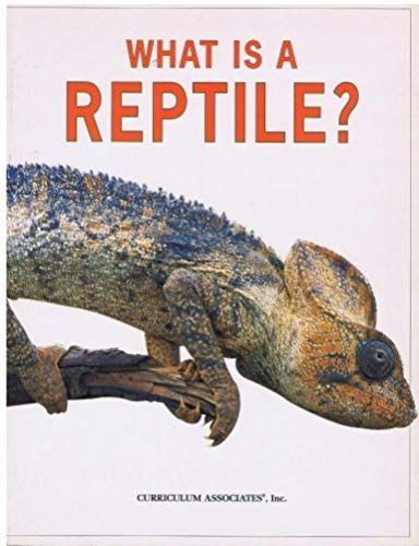 What Is A Reptile?