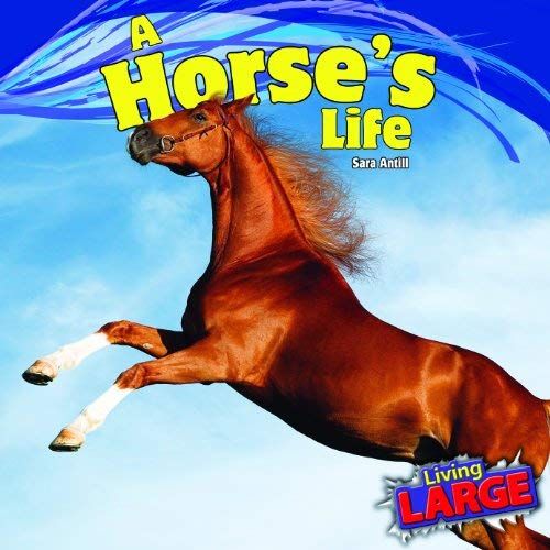 A Horses Life (Living Large (Powerkids Press))