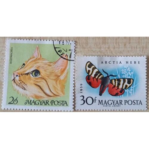 Deux Timbres Oblitérés Magyar Posta, Hazimacska À 20 Fillérs Et Arctia Hebe De 1969 À 30 Fillérs.