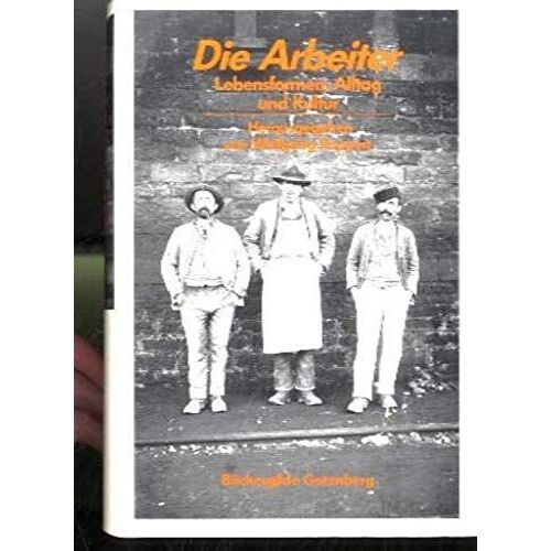 Die Arbeiter: Lebensformen, Alltag Und Kultur Von Der Fruhindustrialisierung Bis Zum "Wirtschaftswunder" (German Edition)