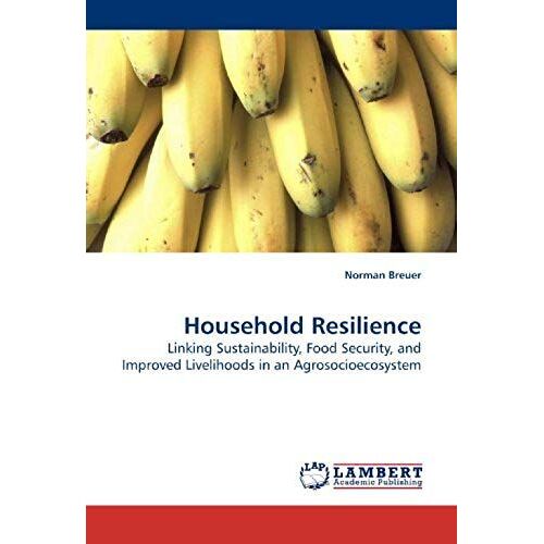 Household Resilience