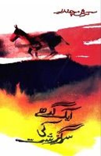 Aik Gadhe Ki Sarguzasht