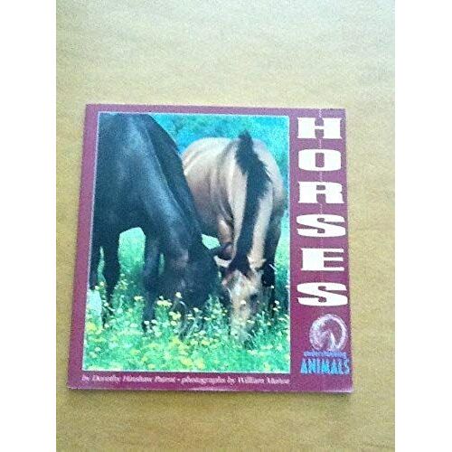 Horses (Understanding Animals)