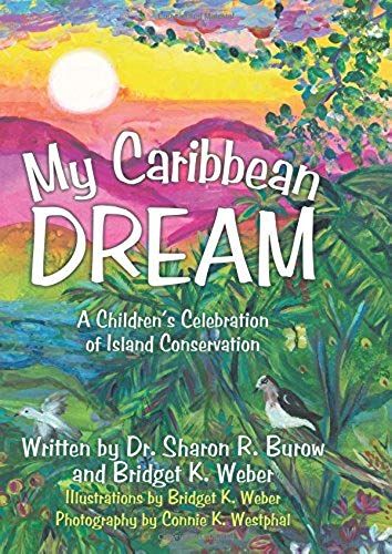 My Caribbean Dream