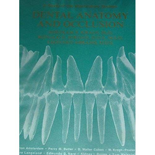 Dental Anatomy And Occlusion