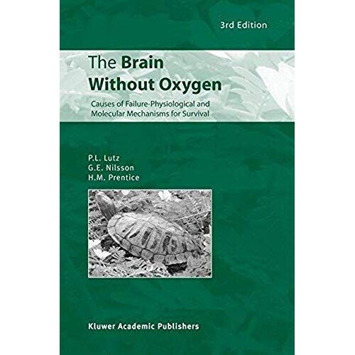 The Brain Without Oxygen