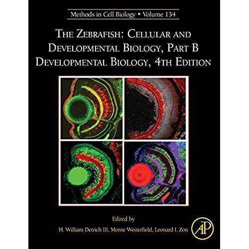 The Zebrafish: Cellular And Developmental Biology, Part B Developmental Biology