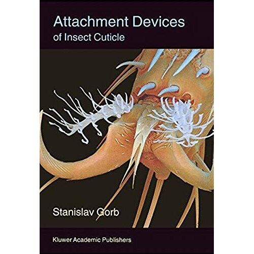 Attachment Devices Of Insect Cuticle