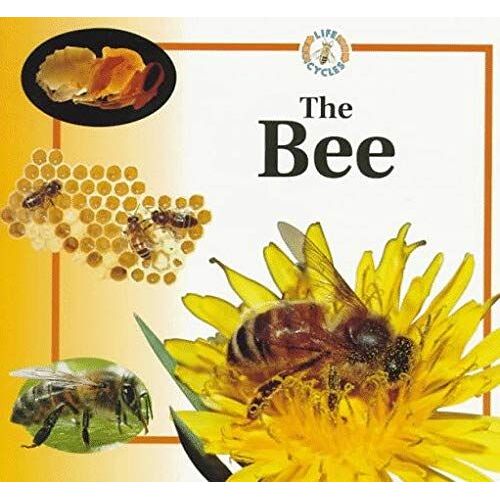 The Bee Life Cycles (Life Cycles (Raintree Paperback))