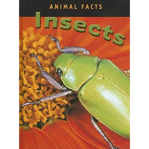 Insects (Animal Facts)