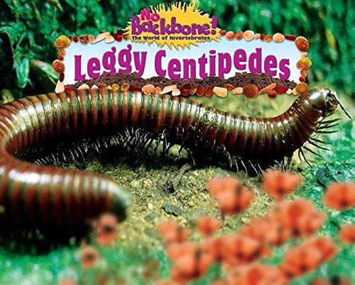 Leggy Centipedes