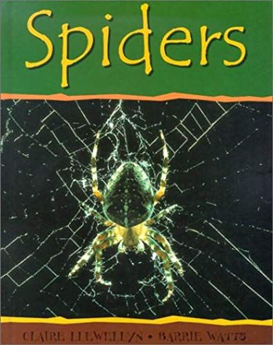 Spiders (Minibeasts)