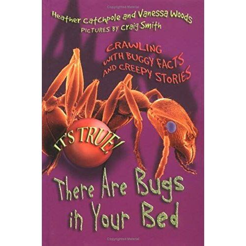It's True! There Are Bugs In Your Bed