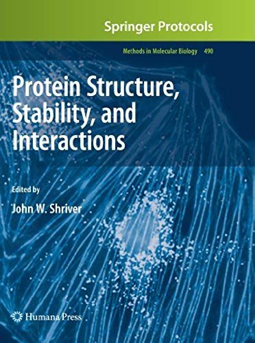 Protein Structure, Stability, And Interactions