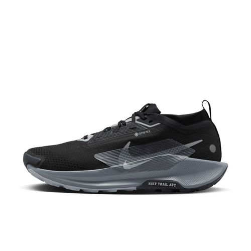 Chaussures De Trail Imperméable Nike Pegasus Trail 5 Gorestex Pour Noir