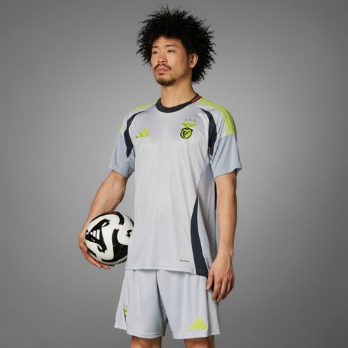 Maillot Third Benfica 24/25 Adidas - Light Solid Grey - S